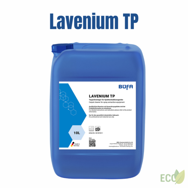 Lavinium TP